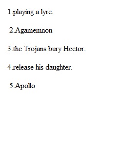 S3 Iliad Quiz